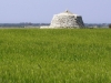 La Pajara - Masseria Farache