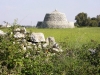 La Pajara - Masseria Farache