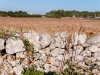 Pietre e muretti a secco - Masseria Farache