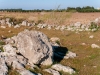 Pietre e muretti a secco - Masseria Farache